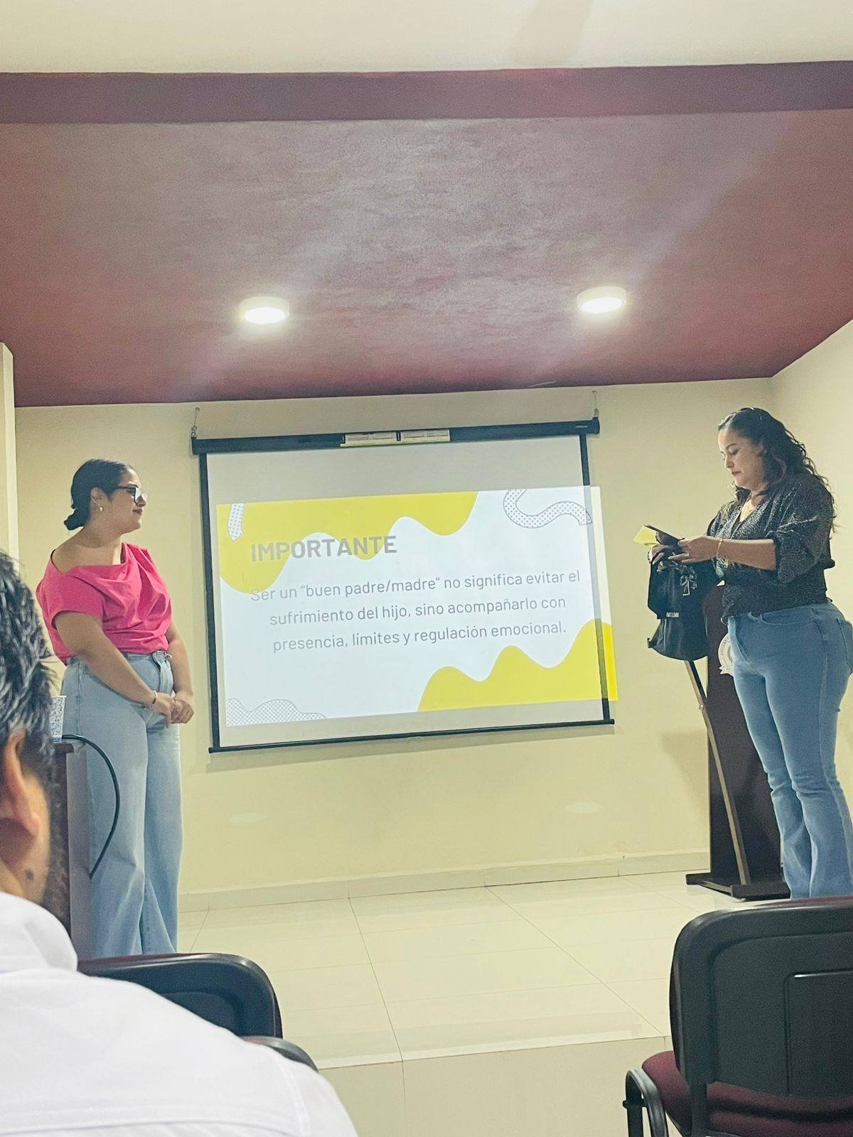 Culpa y estrés parental - Manzanillo